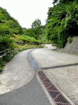 鎌倉中央公園、玄関より園内に入る 鎌倉中央公園、玄関より園内に入るの写真