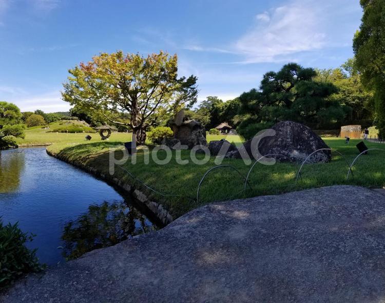 夏の後楽園（岡山市） 夏,風景,景色の写真素材