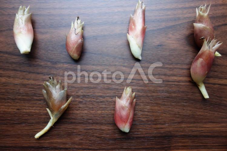 テーブルの上のミョウガ ミョウガ,茗荷,植物の写真素材
