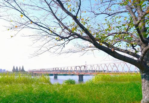 鉄橋のある秋の河川敷 鉄橋のある秋の河川敷 河川敷,土手,草原の写真素材