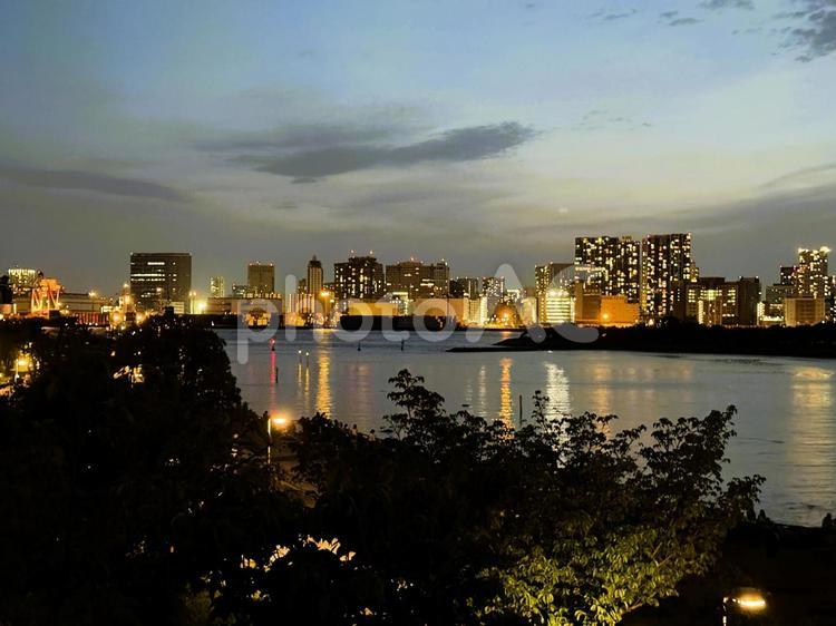 夕暮れのお台場から見た東京の景色 東京,お台場,東京湾の写真素材