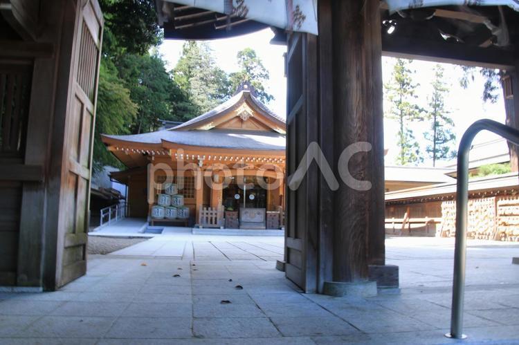 高麗神社の拝殿 拝殿,日高市,神社の写真素材