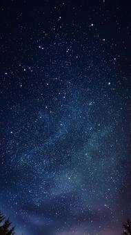 輝く星々の夜景 輝く星々の夜景の写真