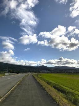 田舎のカントリーロード 田舎のカントリーロード 田園,田舎,青空の写真素材