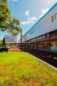 【鳥取】鳥取駅の周辺 鳥取駅,駅,鳥取の写真素材