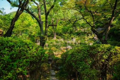 【和歌山】和歌山城 2025 【和歌山】和歌山城 2025の写真