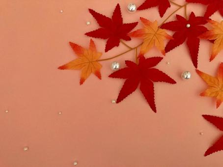 紅葉とパールのフレーム 紅葉とパールのフレームの写真