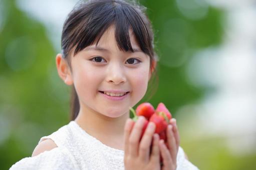 屋外でたくさんのいちごを持っている女の子 子ども,女の子,小学生の写真素材