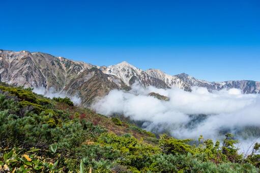 八方尾根の紅葉 白馬,八方尾根,長野の写真素材