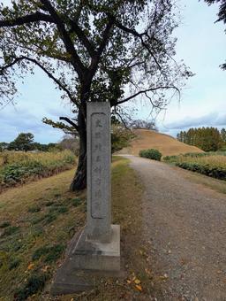 埼玉古墳群 埼玉古墳群,古墳群,古墳の写真素材