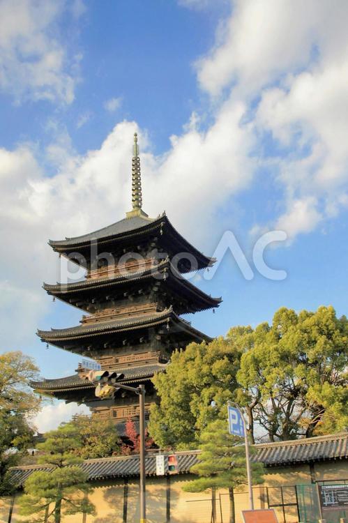 京都の世界遺産、東寺五重塔 京都,東寺,教王護国寺の写真素材