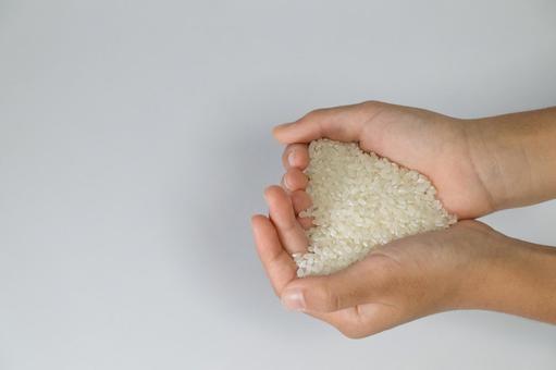 両手で大切に抱える米 米,手,両手の写真素材