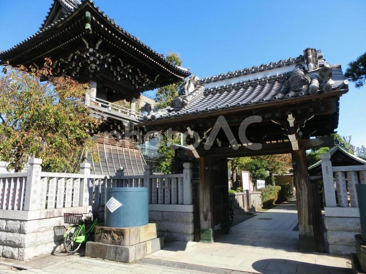 柴又帝釈天の風景-2 柴又帝釈天,東京都葛飾区柴又,境内の写真素材