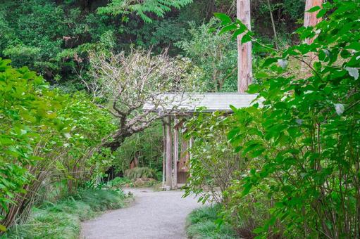 緑の中の古民家 緑の中の古民家 古民家,故郷,鎌倉の写真素材