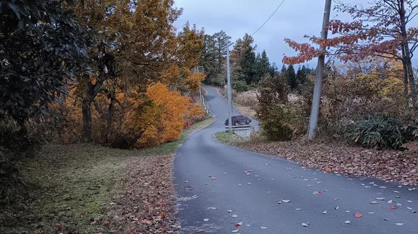 魚沼スカイラインの紅葉の写真