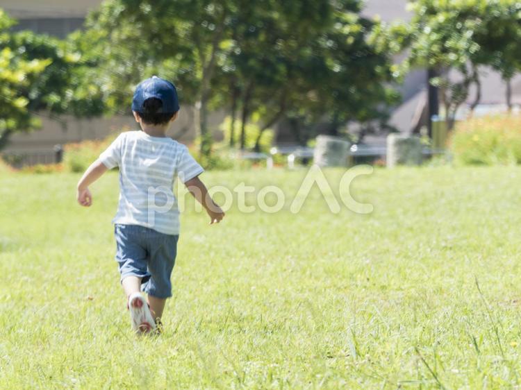 公園の芝生を元気に散歩する子供 子供,公園,散歩の写真素材