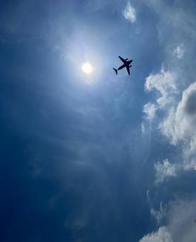 空 太陽 飛行機 空 太陽 飛行機 空,太陽,飛行機の写真素材