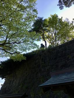 春日山城址 春日山城址の写真
