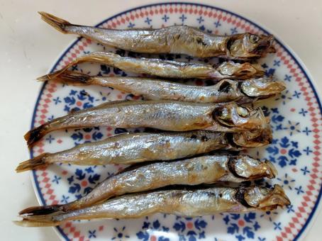 焼き魚 シシャモ 焼き魚 シシャモ 焼き魚,シシャモ,魚の写真素材