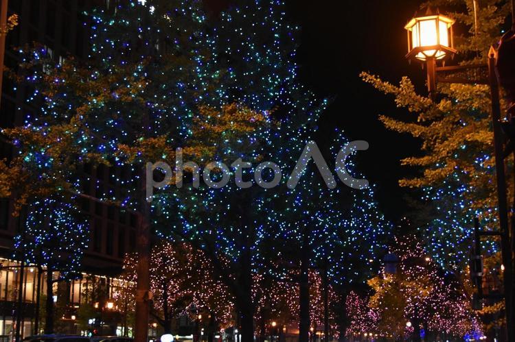2022御堂筋イルミネーション 御堂筋,イルミネーション,夜景の写真素材