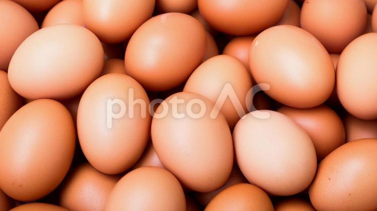 卵☆テクスチャ― 玉子,卵,食品の写真素材