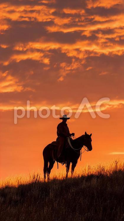 壮大な夕焼けに映えるカウボーイ カウボーイ,馬,乗馬の写真素材