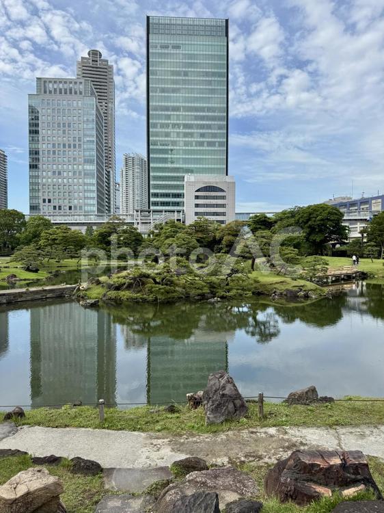 6月 旧芝離宮恩賜庭園 旧芝離宮恩賜庭園,都会の自然,6月の写真素材