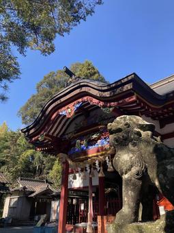大己貴神社・本殿と狛犬 大己貴神社,福岡県朝倉郡,大国主の写真素材