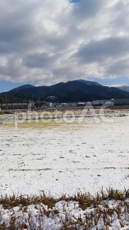 　　須惠町　植木 雪,積もる,農地の写真素材
