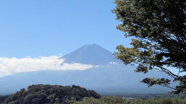 河口湖大石公園から望む初秋の富士山 河口湖大石公園から望む初秋の富士山の写真