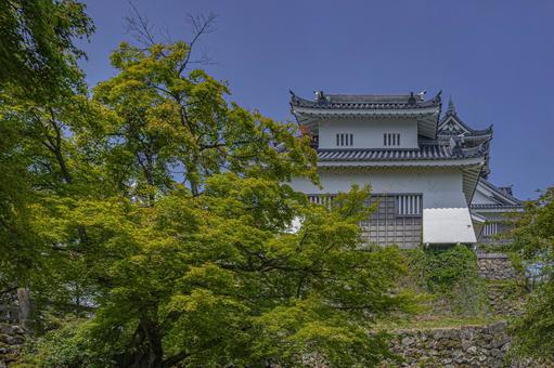 越前大野城 越前大野城 越前大野城,大野城,続日本100名城の写真素材