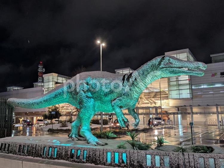 福井駅のスコミムス スコミムス,福井県,福井市の写真素材