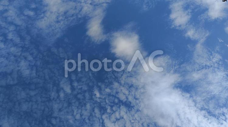青い空２ 背景,空,青いの写真素材