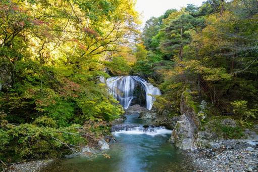 秋の関山大滝⑴ 秋,紅葉,滝の写真素材