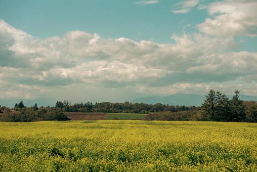 北海道の秋の田園風景 北海道の秋の田園風景の写真