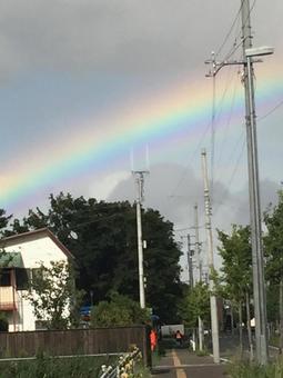 虹 虹の写真