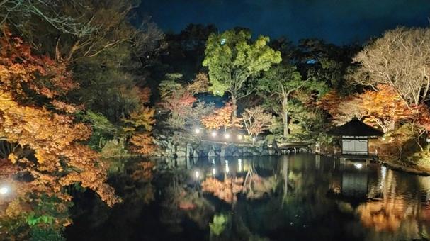 和歌山城紅葉渓庭園の池の夜景 和歌山城紅葉渓庭園の池の夜景の写真