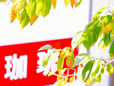 色づく木の葉の写真