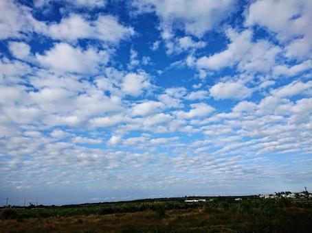 ちいさな雲 雲,自然,田舎の写真素材