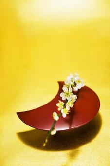 梅の花25 梅の花,白梅,紅梅の写真素材