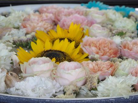 Summer flower water basin, JPG Summer flower water basin, JPG