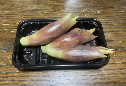 ミョウガ 野菜 夏 ミョウガ 野菜 夏 ミヨウガ,夏野菜,野菜の写真素材