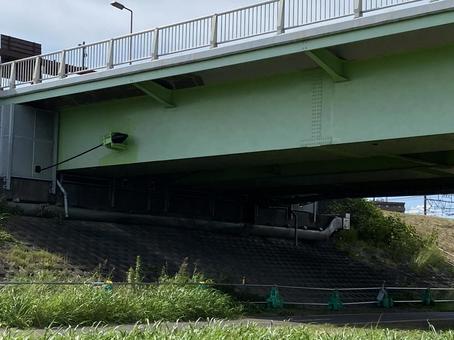 Photo, piers, lane bridge, green space, 