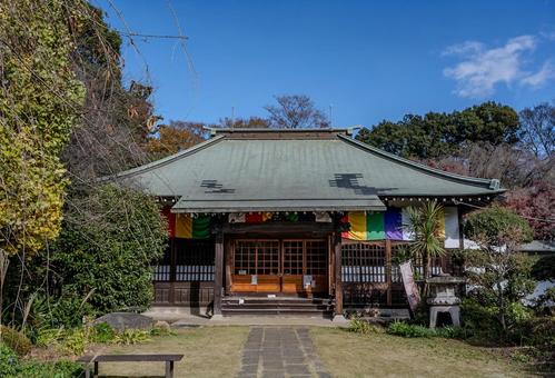 興禅院周辺の景色 興禅院周辺の景色 興禅院,寺院,建物の写真素材