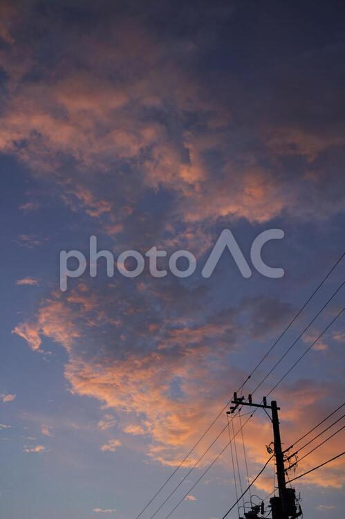 朝焼けの空と電柱 朝焼け,電柱,電線の写真素材