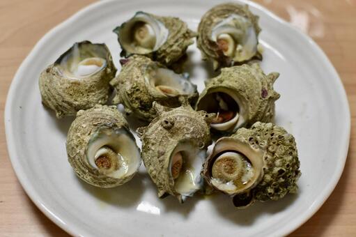 サザエの壺焼き サザエ,壺焼き,巻貝の写真素材