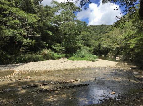 Genka River | River play spots in Nago City, northern part of the main island of Okinawa Genka River | River play spots in Nago City, northern part of the main island of Okinawa