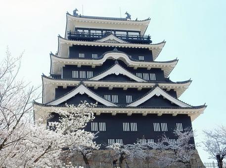 【桜の写真】桜が咲く風景 桜,さくら,サクラの写真素材
