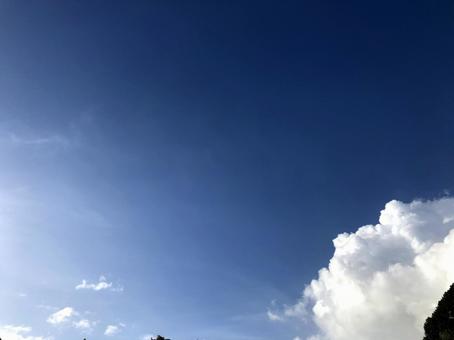 夏空 夏空の写真