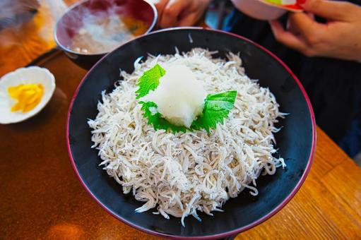 しらす丼 しらす丼の写真